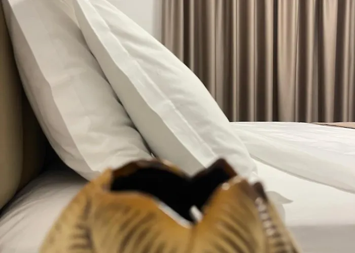 Vibe Comfort Hotel 3*